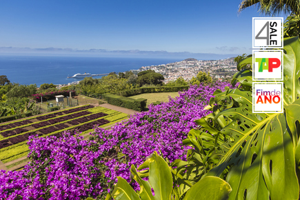 funchal-fim-de-ano-5-dias-4-noites-294_0_14133.jpg