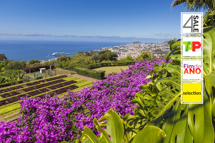 selection-funchal-fim-de-ano-5-dias-4-noites-298_0_14136.jpg
