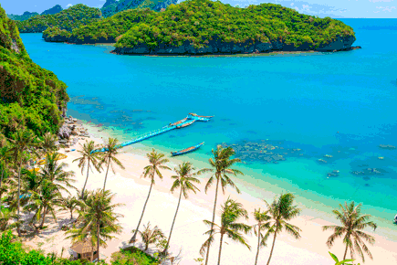 lis-tailandia-bangkok-samui_0_14502.png