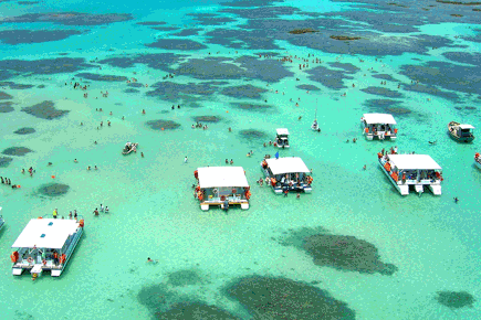 maceio-maragogi_0_14543.png
