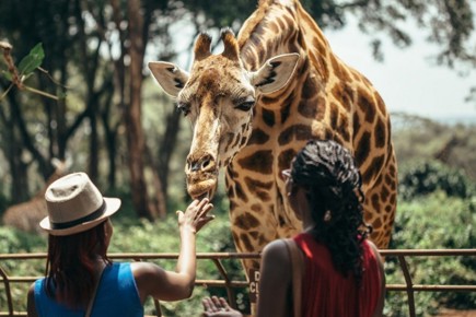 safari-jambo-zanzibar-2412_0.jpg