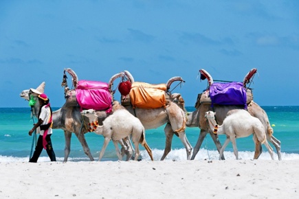 djerba_2.jpg