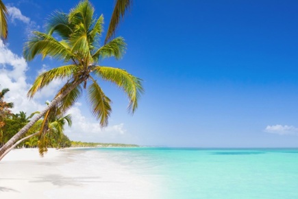 punta-cana-essence_2.jpg