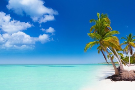 punta-cana-quality_1.jpg