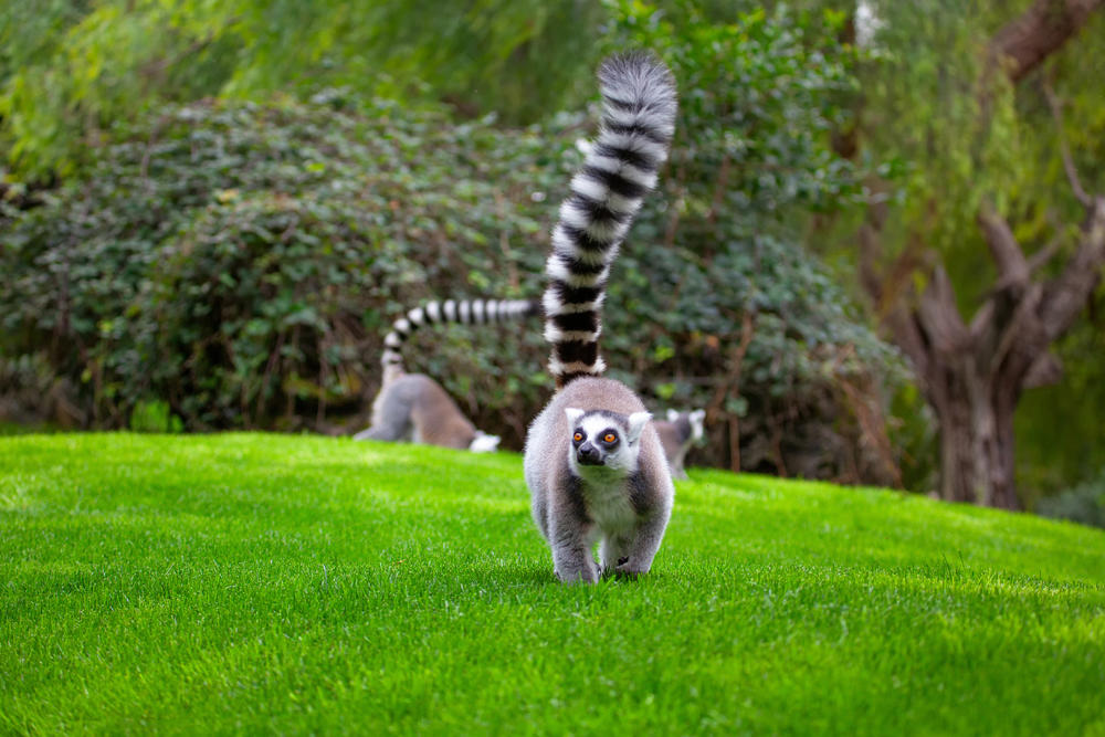 AdobeStock_329563472